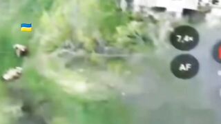 Ukrainian snipers' last mission.