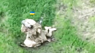 Ukrainian snipers' last mission.
