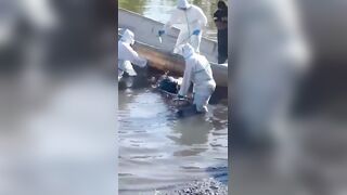 Body of 27-year-old man found floating in Costa Rica