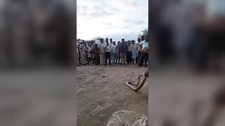 Man Dies After Getting Bitten By Snake