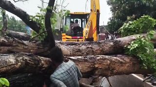 Crushed By Fallen Tree Motorcyclist Screams In Pain Next To Dead Friend