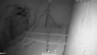 The Human Press in Saydnaya  Leaked Footage from Inside Torture Cells