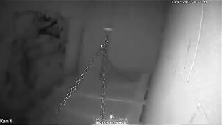 The Human Press in Saydnaya  Leaked Footage from Inside Torture Cells