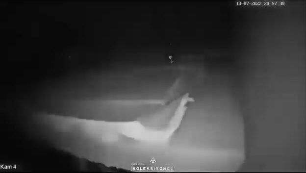 The Human Press in Saydnaya  Leaked Footage from Inside Torture Cells