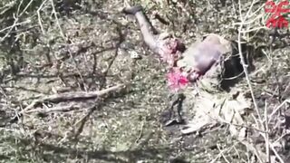 Voodoo Drone Splits Russian. Makes Him Suffer in Agony