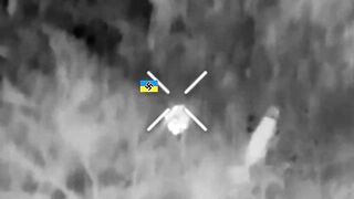 Drones hunting Ukr subhumans.