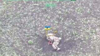 Drones hunting Ukr subhumans.