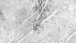 Drones hunting Ukr subhumans.