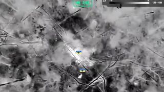 Drones hunting Ukr subhumans.