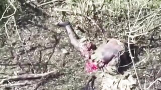 The severed legs of an African mercenary fighting for Russia