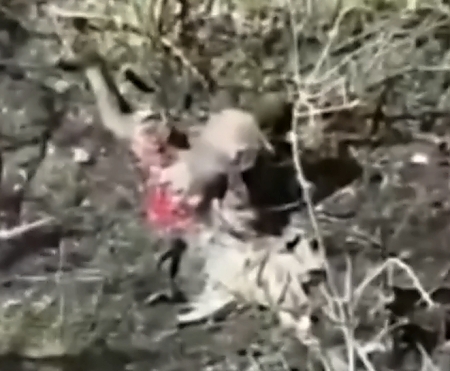 The severed legs of an African mercenary fighting for Russia