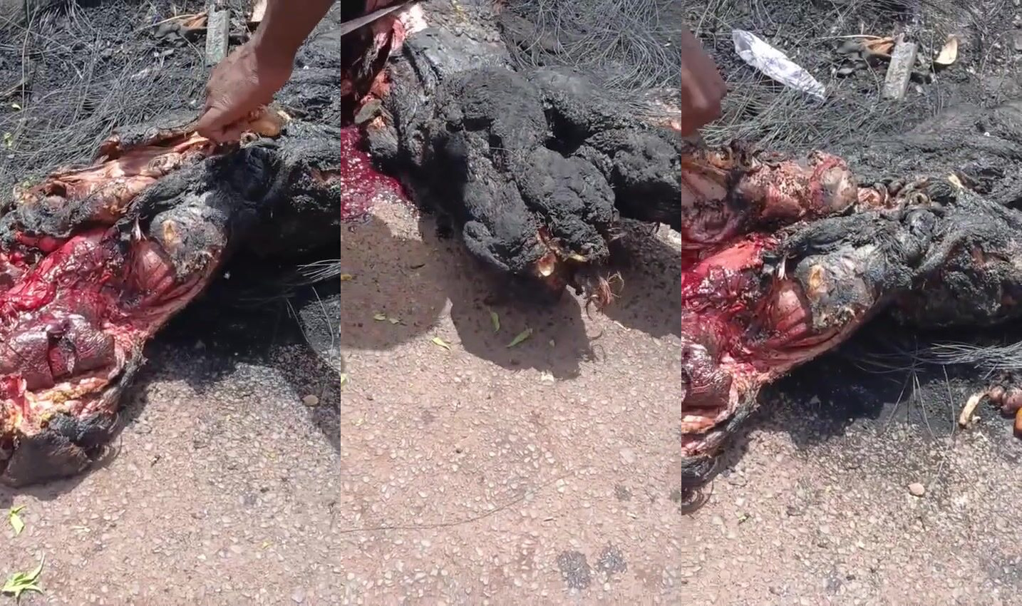 Jihadists Cut Into Charred Remains For Cannibal Feast