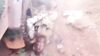 Jihadists Blow Out Dead Soldiers Brains For Shits N Giggles