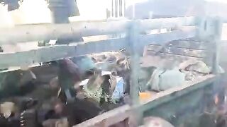 Jihadists Blow Out Dead Soldiers Brains For Shits N Giggles