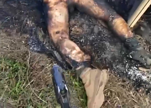 Wild roast