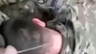 They pissed on America