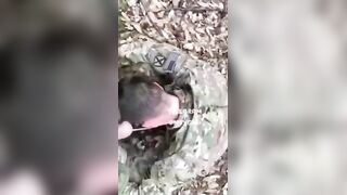 They pissed on America