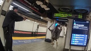Police Fatally Shoot Machete-Wielding Man After Stabbing Three at Grand Central Stati