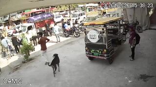 Woman Crushed to Death Between Two Trucks in Nagpur Road Accident
