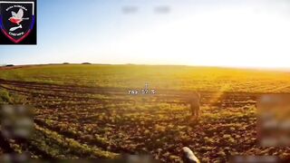 Run little girl, RUN!!!