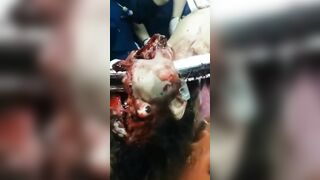 Classic gore compilation