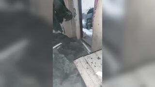 Dying Like Flies! Chewed Up Russians Found in House