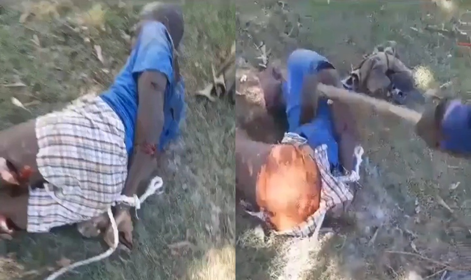 Rival Gang Member Chopped to Death by Haitian Crew with Machete & Axe