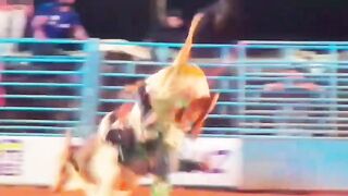 Cowboy Dies After Being Trampled by Bull During Rodeo in Brazil