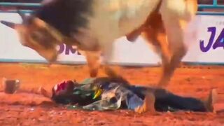 Cowboy Dies After Being Trampled by Bull During Rodeo in Brazil