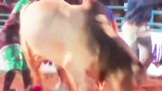 Cowboy Dies After Being Trampled by Bull During Rodeo in Brazil