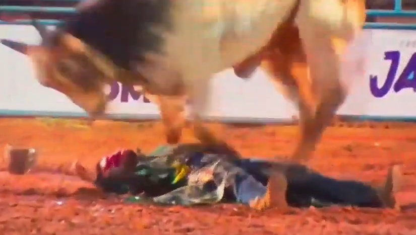 Cowboy Dies After Being Trampled by Bull During Rodeo in Brazil