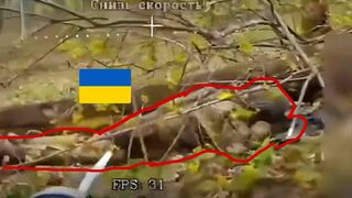 When you lose at hide-and-seek (part 2)