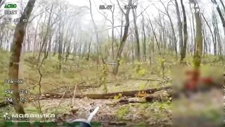 When you lose at hide-and-seek (part 2)