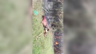 Burning compilation