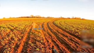 When the drone enjoys it