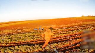 When the drone enjoys it
