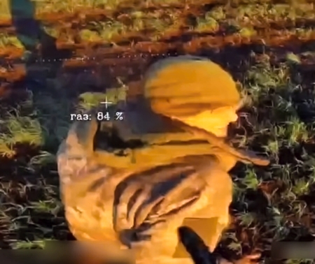 When the drone enjoys it