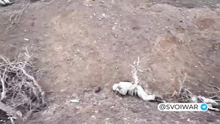 Cooperation Ukrainian Drone  with a russian soldier.