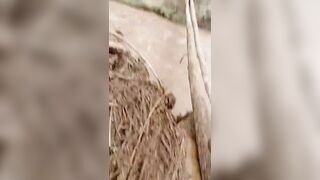 Mother and son have drowned while attempting to cross a local bridge