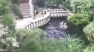 Cleaning Lady Drowned In Koi Pond