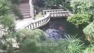 Cleaning Lady Drowned In Koi Pond
