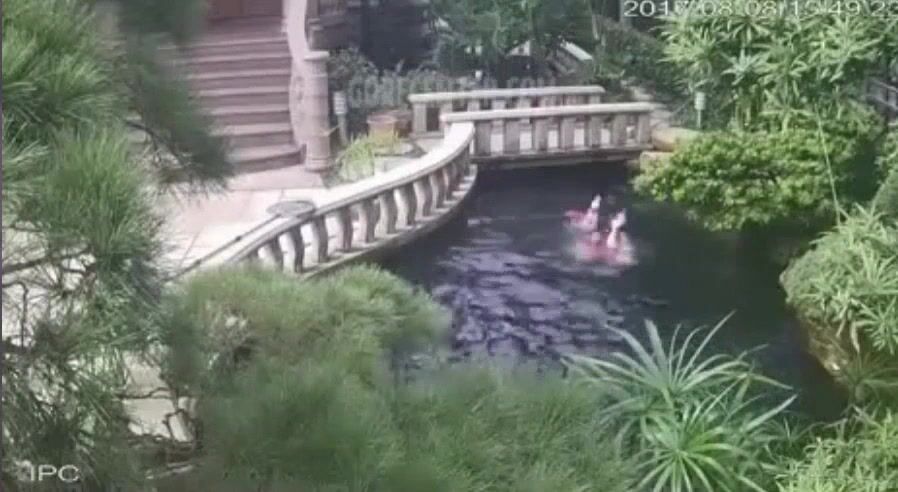 Cleaning Lady Drowned In Koi Pond