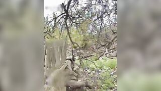 Rectal Discharge Leaves a Nasty Russian Mess