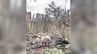 Rectal Discharge Leaves a Nasty Russian Mess