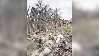 Rectal Discharge Leaves a Nasty Russian Mess