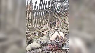 Rectal Discharge Leaves a Nasty Russian Mess
