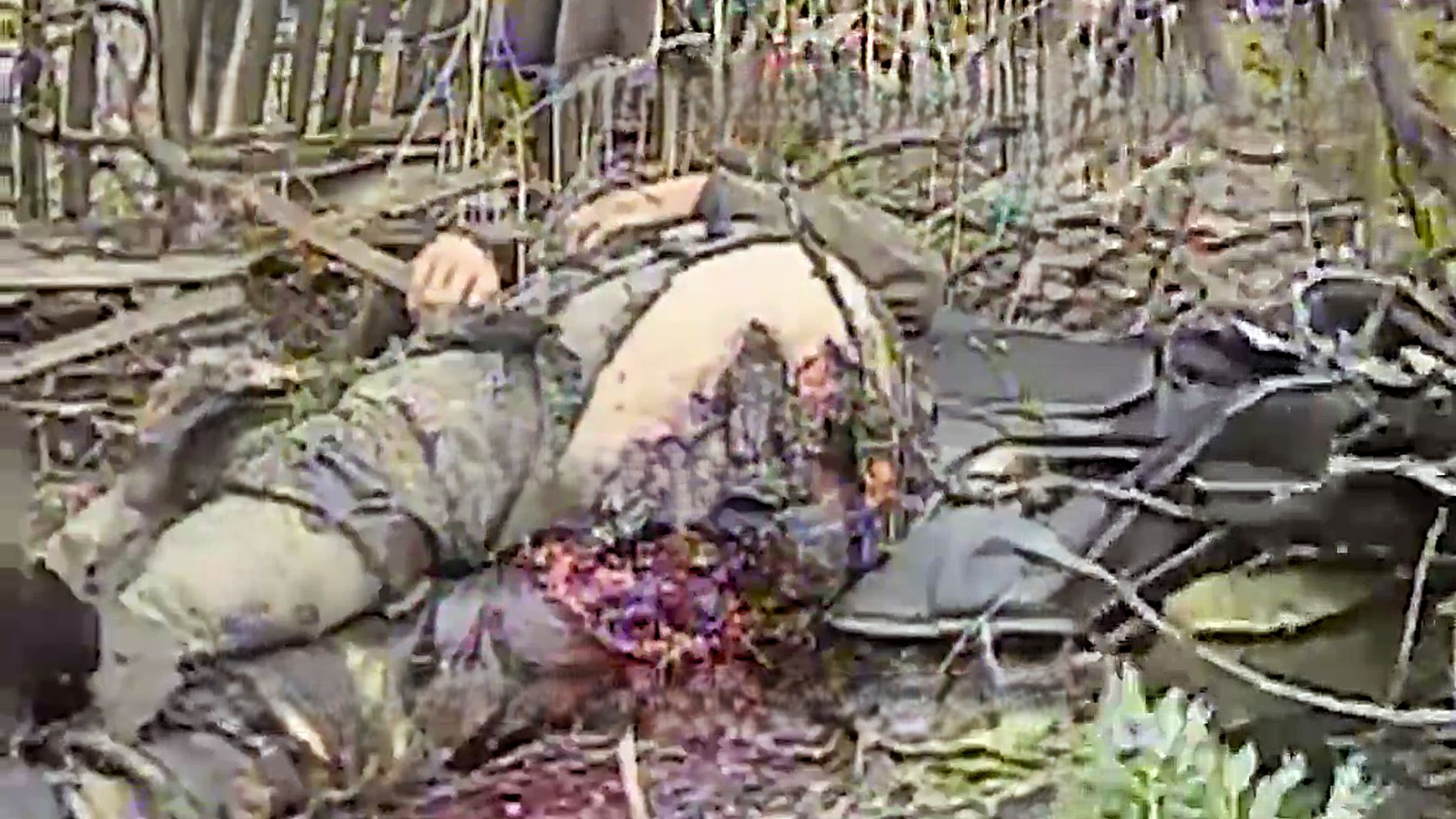 Rectal Discharge Leaves a Nasty Russian Mess