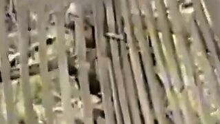 The Orc didn't understand that a wooden fence is not protection