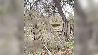 The Orc didn't understand that a wooden fence is not protection