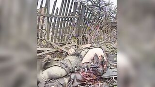 The Orc didn't understand that a wooden fence is not protection